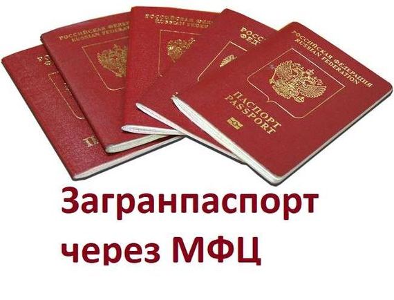 прописка в Ростове